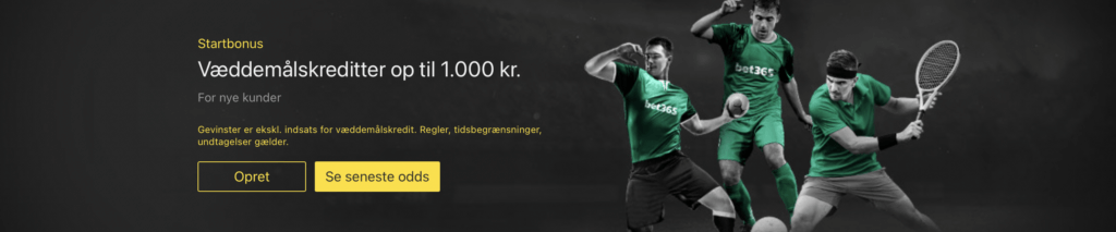 VM 2022 Spilforslag